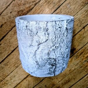Cute Birch Bark Style Plant Pot 🪴